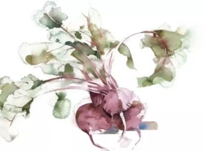 水彩艺术家 Kate Osborne 水彩画作
