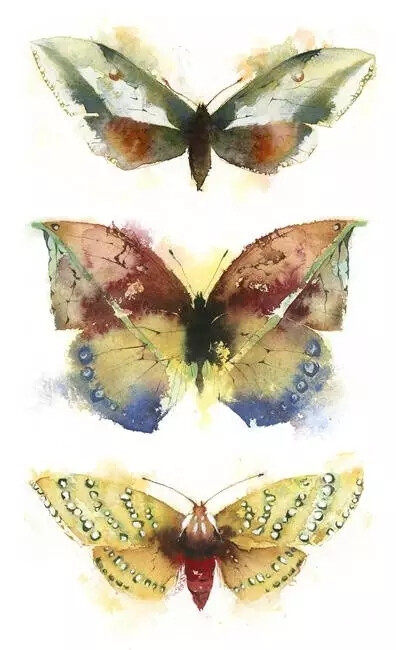 水彩艺术家 Kate Osborne 水彩画作

