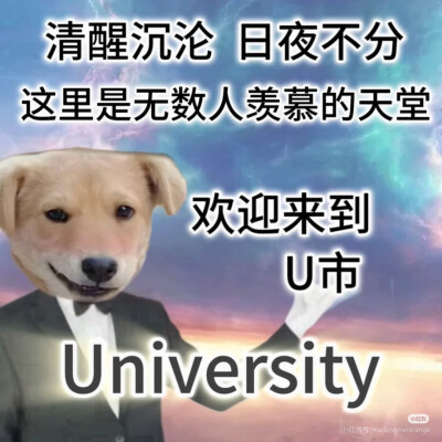 喷不了，这真上过学˃ʍ˂