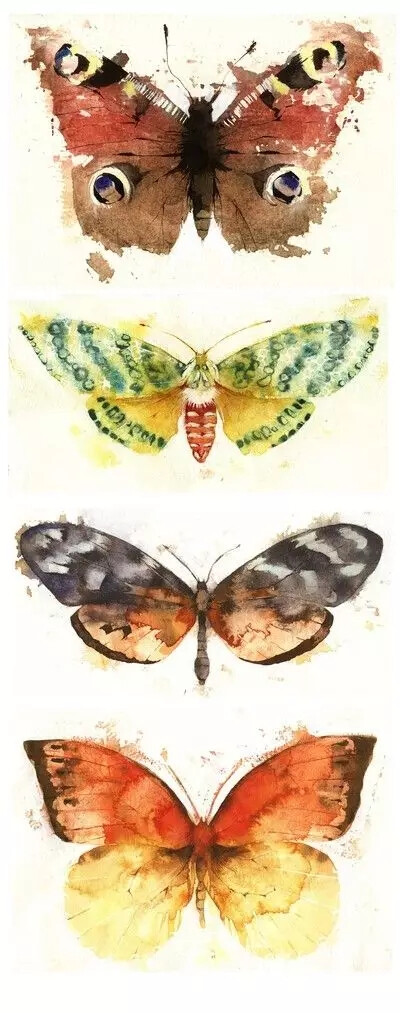 水彩艺术家 Kate Osborne 水彩画作
