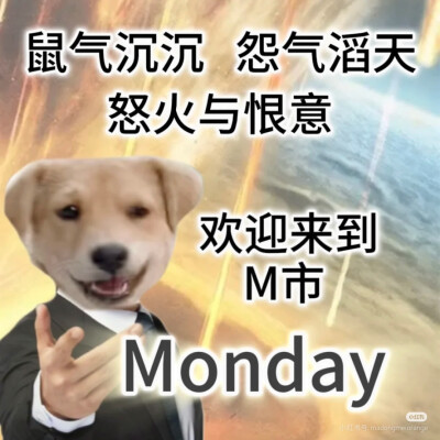 喷不了，这真上过学˃ʍ˂