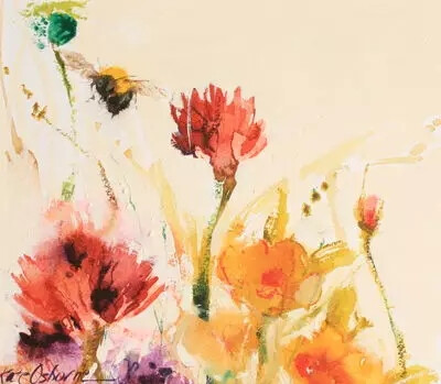 水彩艺术家 Kate Osborne 水彩画作
