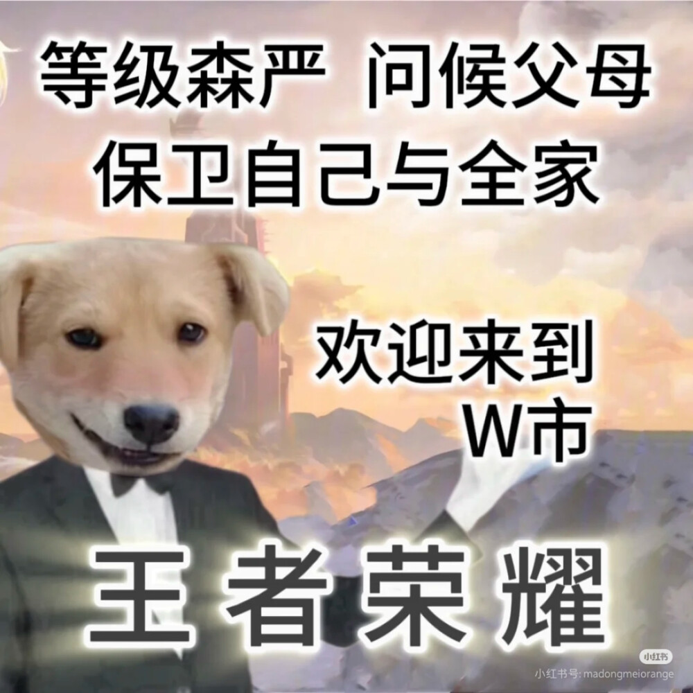 喷不了，这真上过学˃ʍ˂