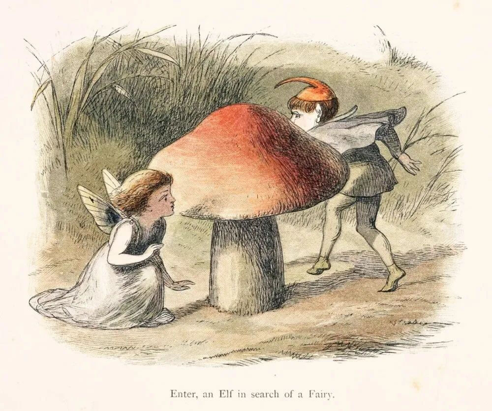 理查德·道尔（Richard Doyle）在他的《在仙境：来自精灵世界的插画集》（In Fairyland: A Series of Pictures from the Elf-World ，1870）中的插画。© collections.mfa.org
