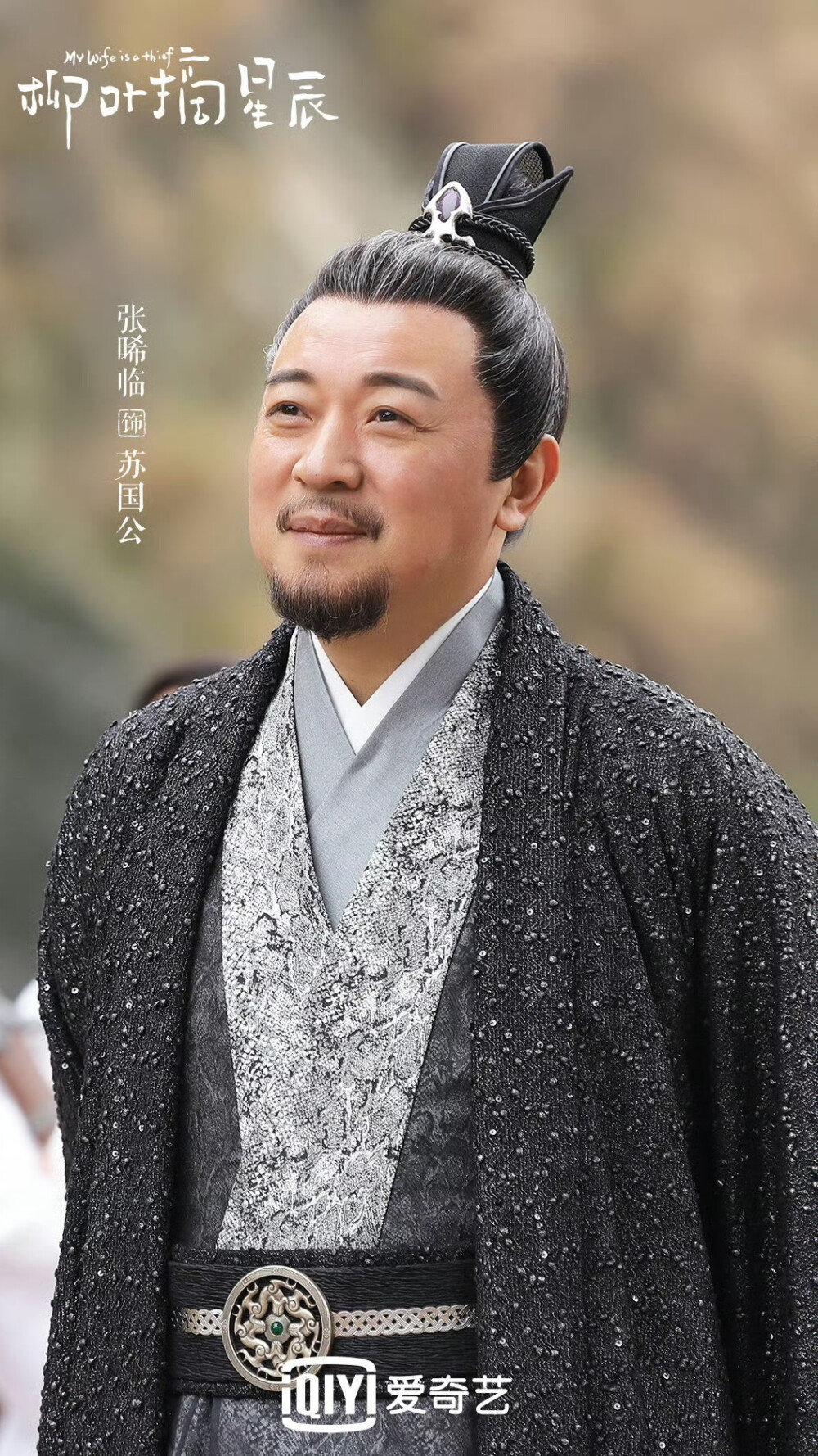 柳叶摘星辰 苏国公 张晞临