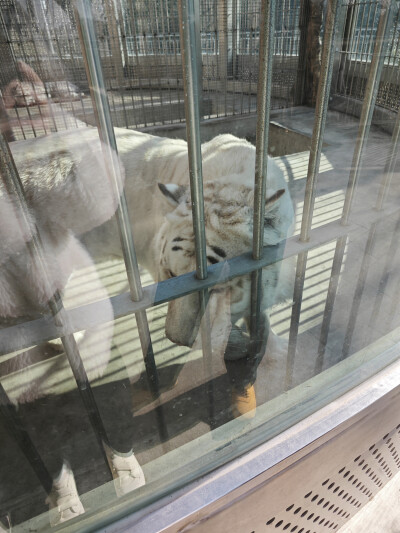 旅游