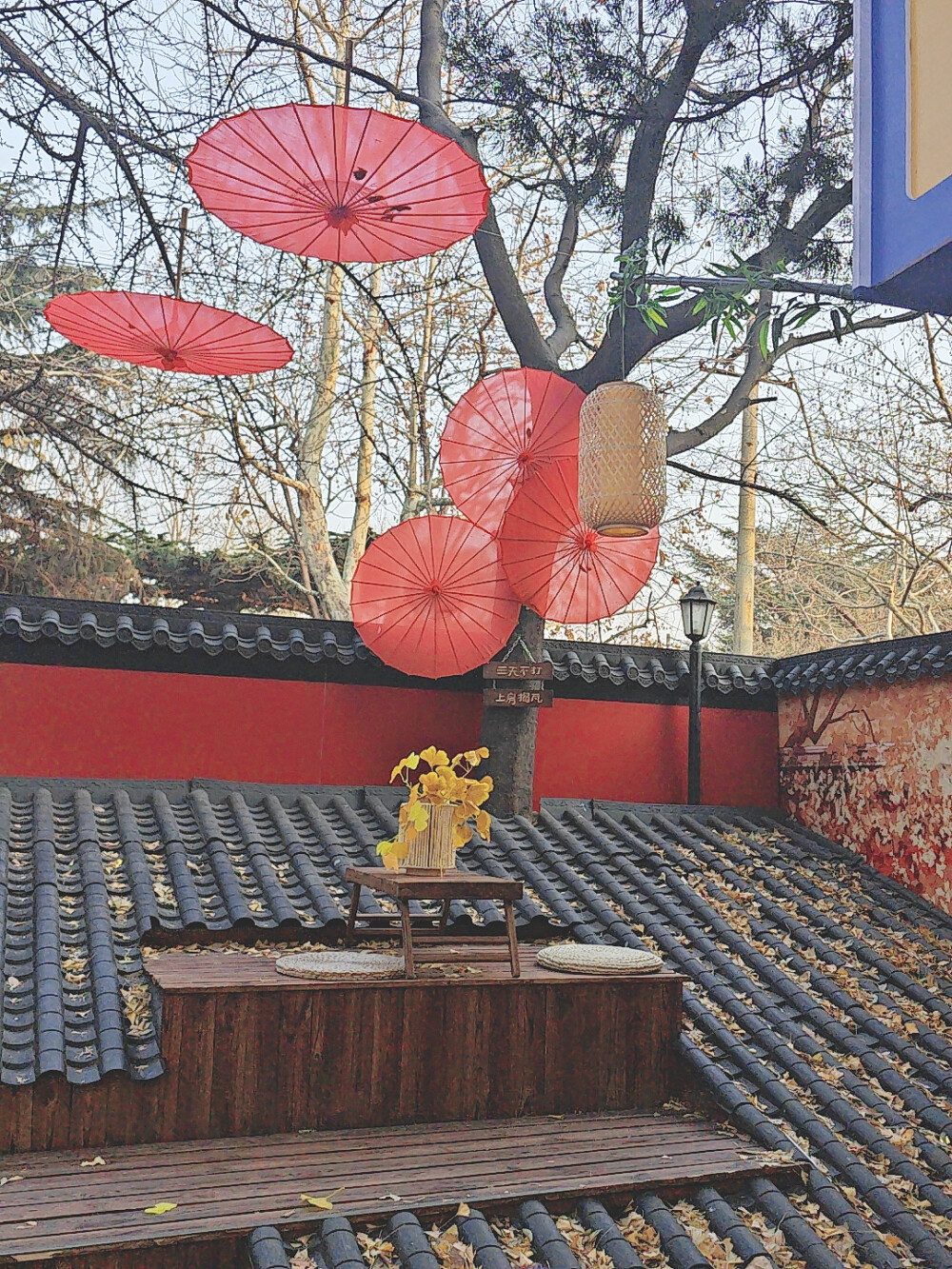 旅游