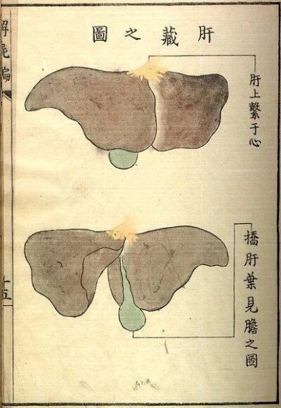 《解尸编》（Kaishi Hen）是日本河口信任（Kawaguchi Shinnin，1736-1811）编纂的一本基础理论类中医文献。成书于日本安永八年（1771）。不分卷。河口信任为日本疡医（旧称外科医生为“疡医”。中国周代已有医政的设…