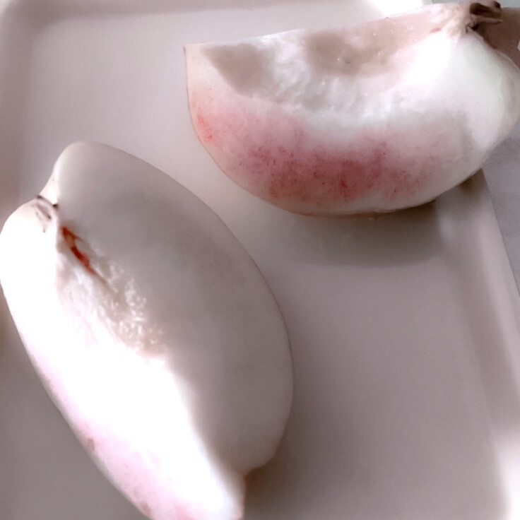 桃气熊Peach Teddy Bear. ♡*.+