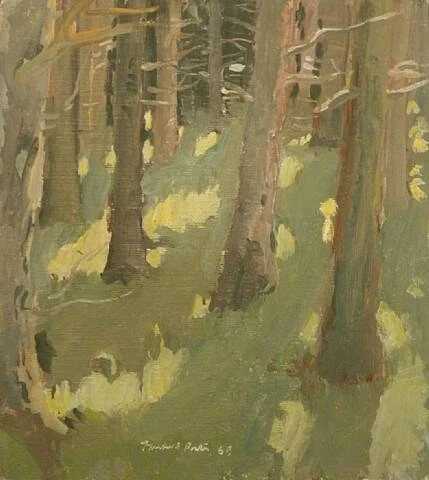 费尔菲尔德·波特（Fairfield Porter，1907年6月10日-1975年9月18日）是一位美国著名画家、艺术家。他出生于文学世家。他在哈佛读书时，主修美术，1928年全家搬到纽约后，他继续在艺术学生联盟学习，当时他倾向于创作与社会相关的艺术作品，他在漫长的职业生涯里继续创作现实主义作品。