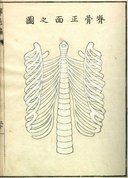 《解尸编》（Kaishi Hen）是日本河口信任（Kawaguchi Shinnin，1736-1811）编纂的一本基础理论类中医文献。成书于日本安永八年（1771）。不分卷。河口信任为日本疡医（旧称外科医生为“疡医”。中国周代已有医政的设置和医疗分科。医生分为“食医"”，“疾医”，“疡医”和“兽医”。其中，疡医就是外科医生，其职责是：“掌肿疡，溃疡，金疡，折疡之祝药， 杀之齐。”），承继家学。对《内经》之《骨空》、《本输》诸篇感到旨深难懂，旁考群书，异说纷然，不知所从。受《灵枢》“其死也，可解剖面视之”启示，解两尸查照，汇编成书。