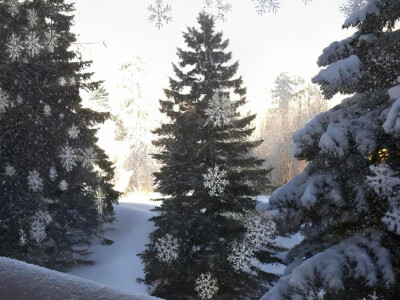 雪花飘落窗景