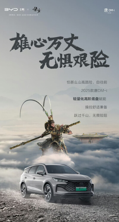 比亚迪（《黑神话：悟空》全球官方战略合作伙伴）