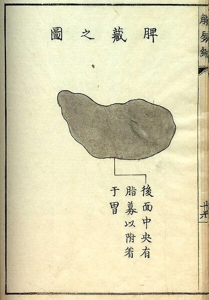 《解尸编》（Kaishi Hen）是日本河口信任（Kawaguchi Shinnin，1736-1811）编纂的一本基础理论类中医文献。成书于日本安永八年（1771）。不分卷。河口信任为日本疡医（旧称外科医生为“疡医”。中国周代已有医政的设置和医疗分科。医生分为“食医"”，“疾医”，“疡医”和“兽医”。其中，疡医就是外科医生，其职责是：“掌肿疡，溃疡，金疡，折疡之祝药， 杀之齐。”），承继家学。对《内经》之《骨空》、《本输》诸篇感到旨深难懂，旁考群书，异说纷然，不知所从。受《灵枢》“其死也，可解剖面视之”启示，解两尸查照，汇编成书。