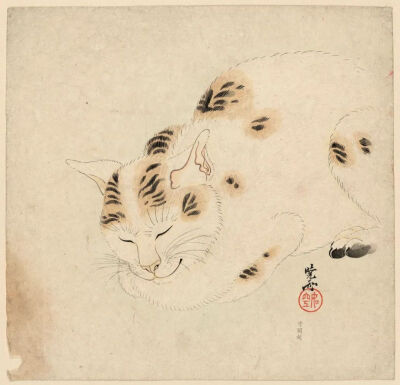 河锅晓斋，《睡猫》。© British Museum