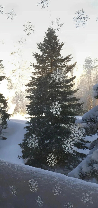 雪花飘落窗景