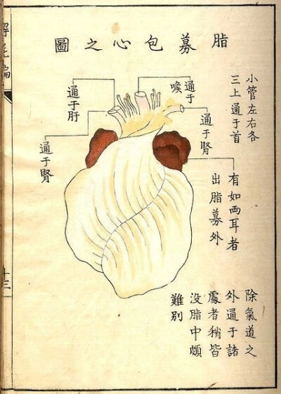 《解尸编》（Kaishi Hen）是日本河口信任（Kawaguchi Shinnin，1736-1811）编纂的一本基础理论类中医文献。成书于日本安永八年（1771）。不分卷。河口信任为日本疡医（旧称外科医生为“疡医”。中国周代已有医政的设…