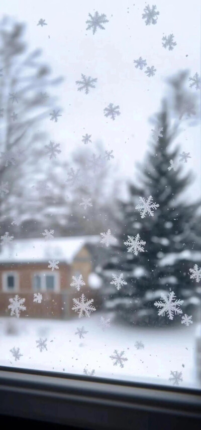 雪花飘落窗景