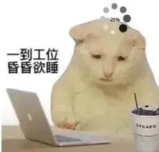 貓貓表情包