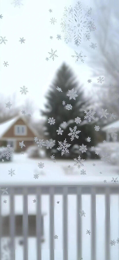 雪花飘落窗景