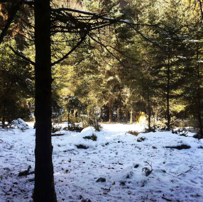 人生永远柳暗花明