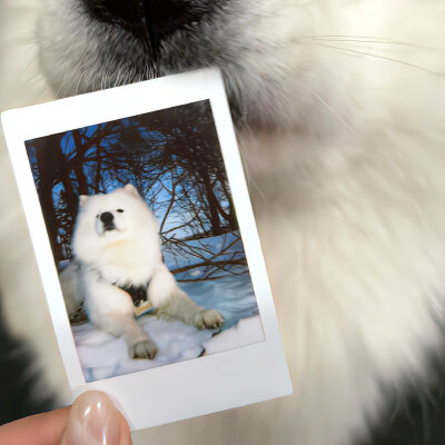 人生永远柳暗花明