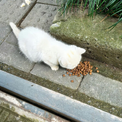 人生永远柳暗花明