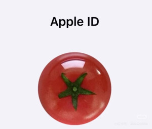 apple ID 头像 ♥