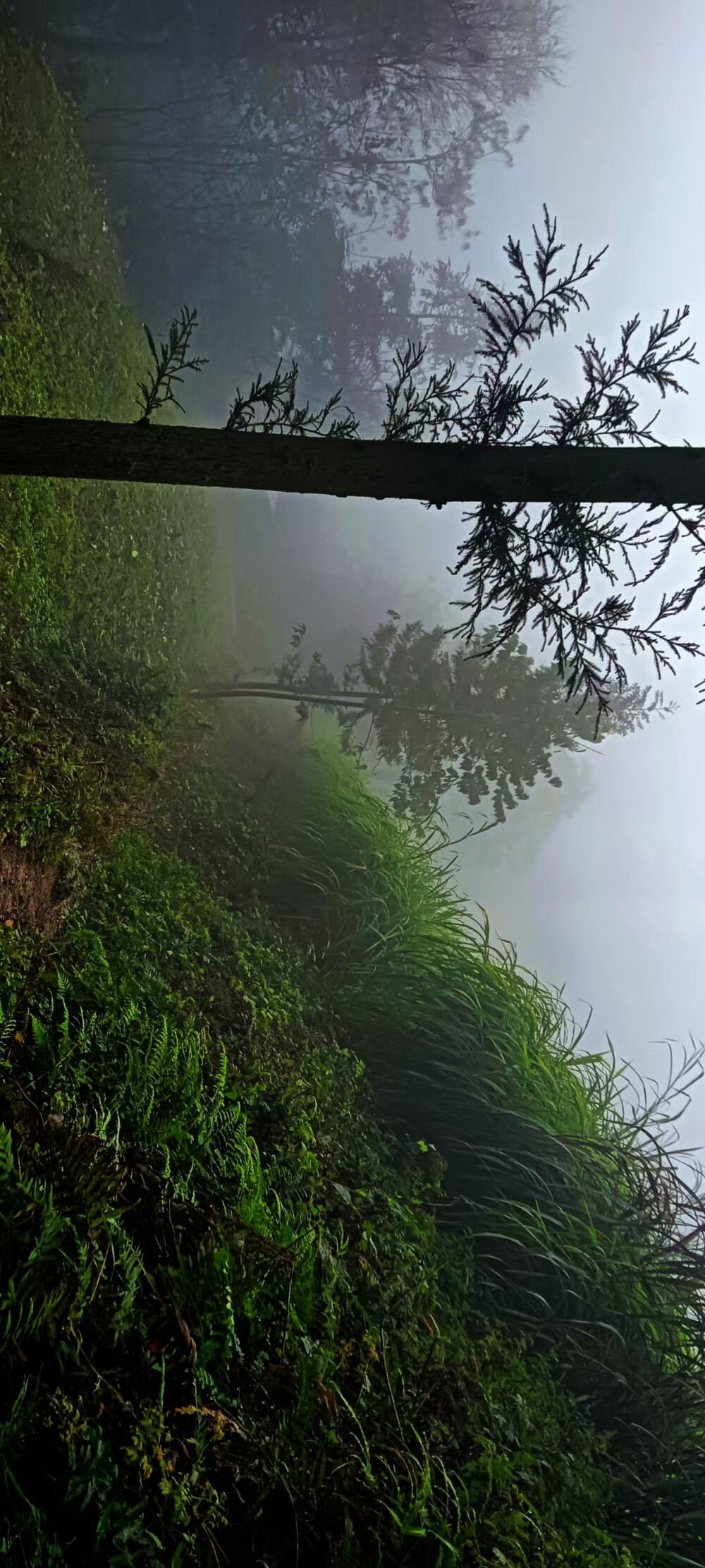 随手拍的评价一下，广东和贵州的风景从广东回家的汽车，贵州的孤独上路，天气的区别，广东的太阳刚刚醒来