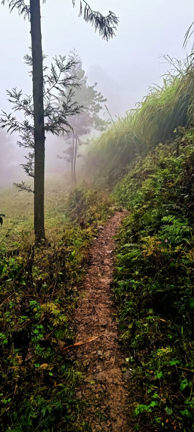 随手拍的评价一下，广东和贵州的风景从广东回家的汽车，贵州的孤独上路，天气的区别，广东的太阳刚刚醒来