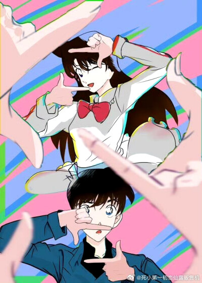 新兰