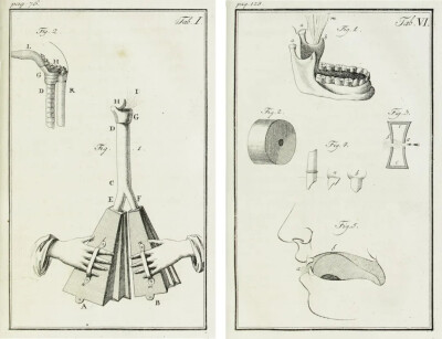 描绘沃尔夫冈·冯·肯佩伦的《语音机制》（The Mechanism of Speech，1791）中人工和自然语音组成部分的图示。© digital.slub-dresden.de