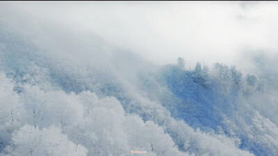 橙光素材