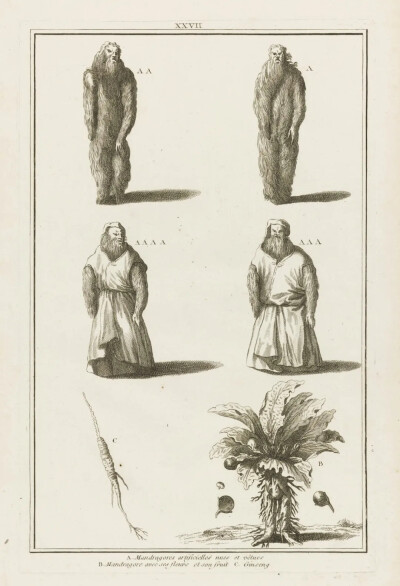 Engraving based on plates 1 and 2 from Augustin Calmet, Dictionnaire historique, critique, chronologique, géographique et littéral de la Bible, 1730.