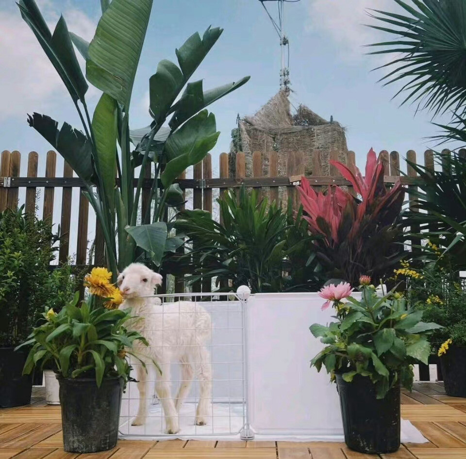 种地吧