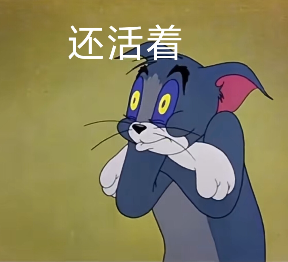 表情包