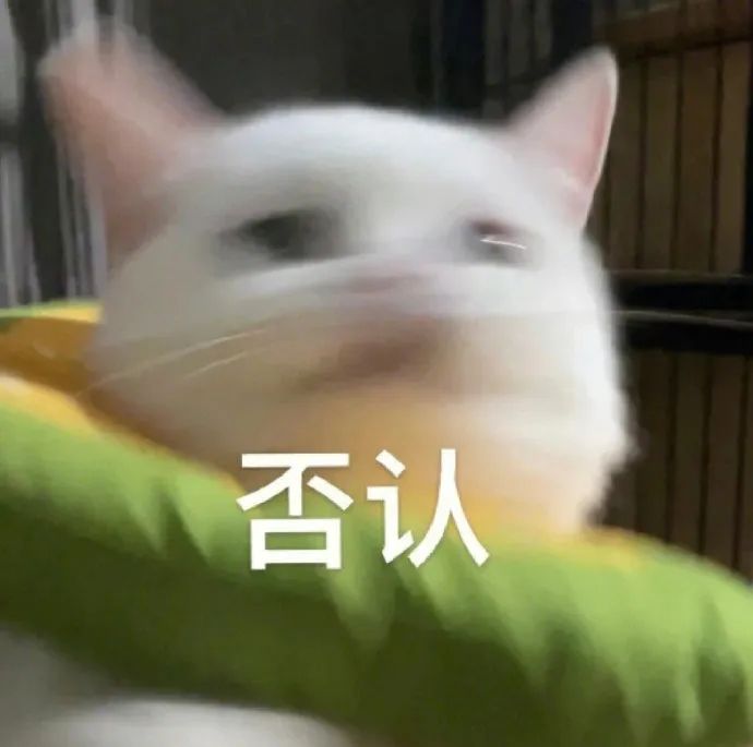 猫猫表情包