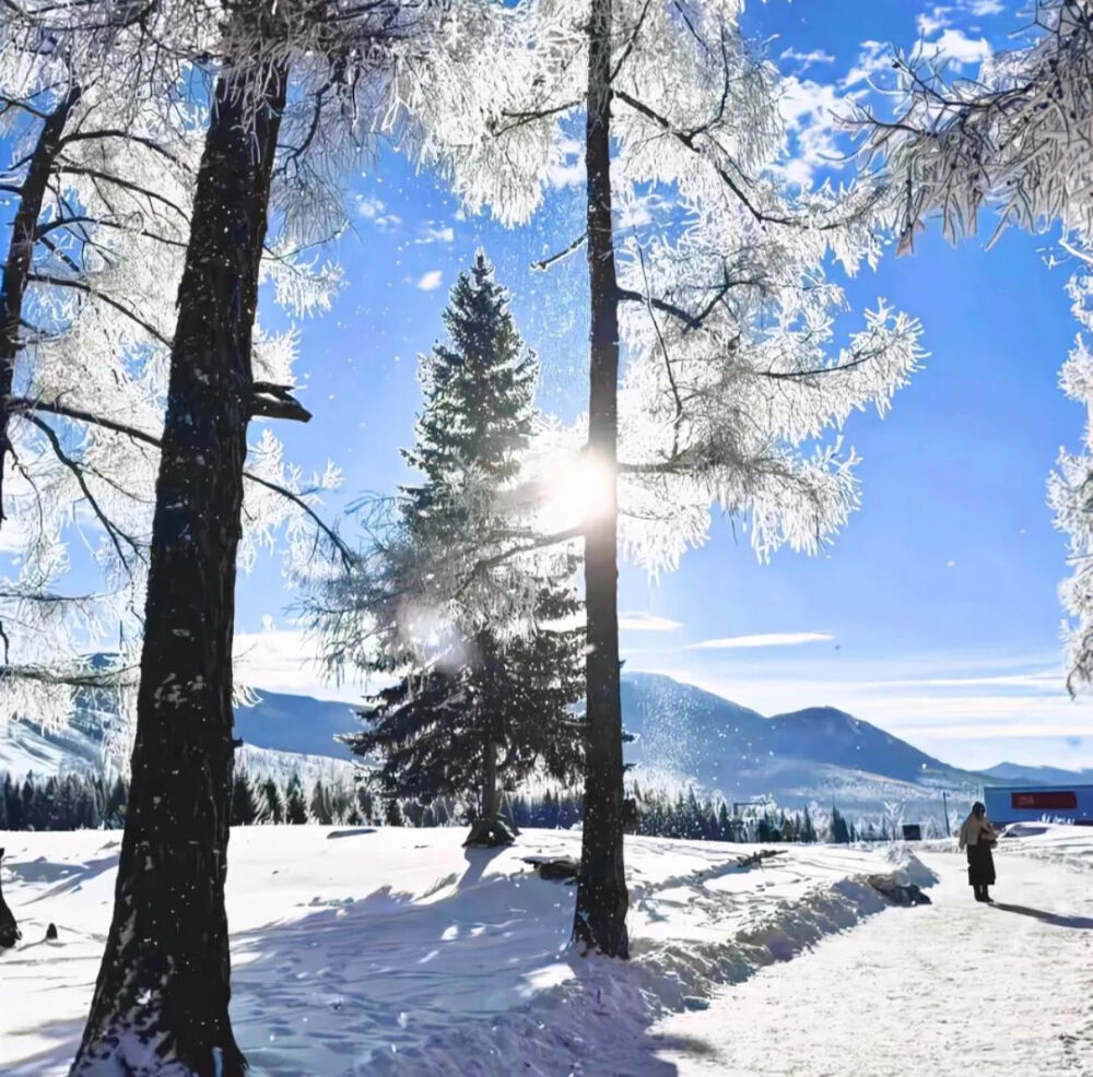  你說再見面的話 是落葉還是飄雪