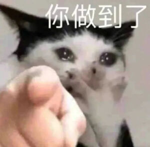 猫猫表情包