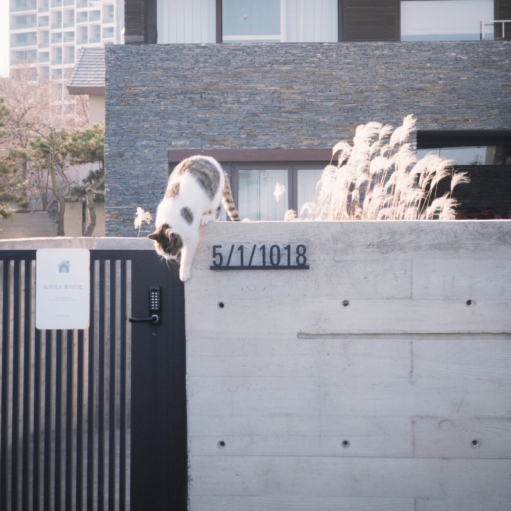 ˚♡˖ Oᴜʀ ᴡʜɪᴛᴇ ᴍᴇᴍᴏʀɪᴇs ʙᴇʟᴏɴɢ ᴛᴏ ᴜs ⁎⊹⁺
-属于我们的纯白记忆-