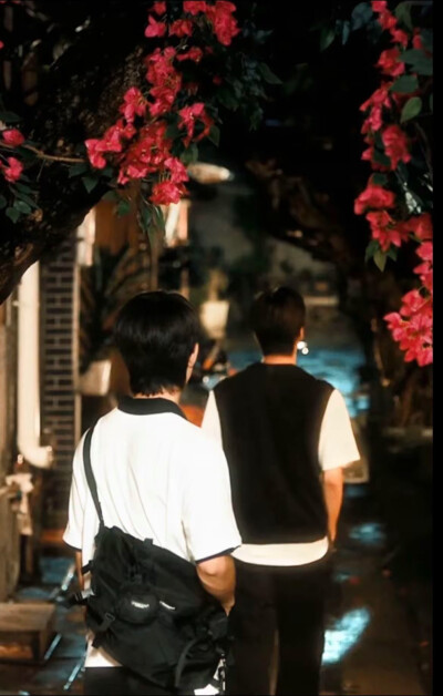 归棹