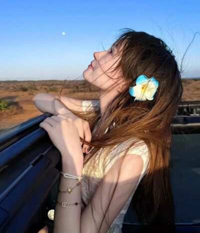 高质女头
