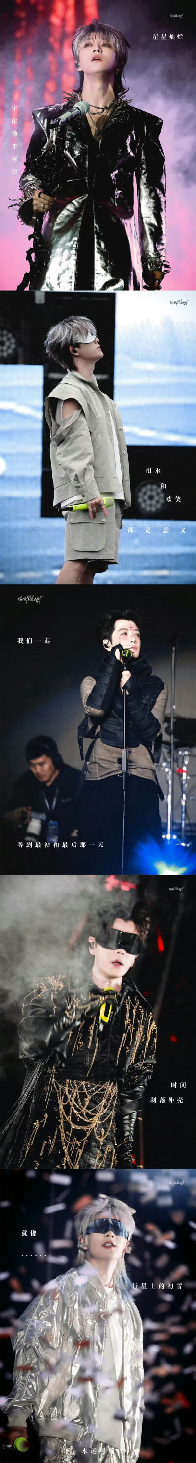 王栎鑫