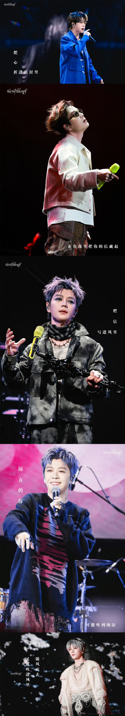 王栎鑫