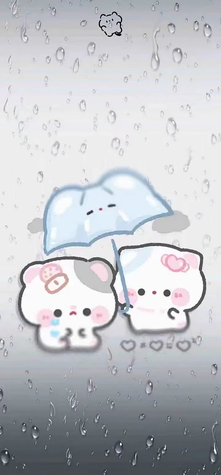 雨雾小猫壁纸