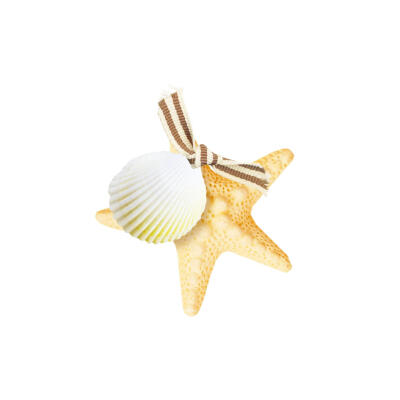 海星白底头像