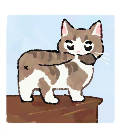 治愈系猫猫插画
画师：X@gentleeeeeeecat ???