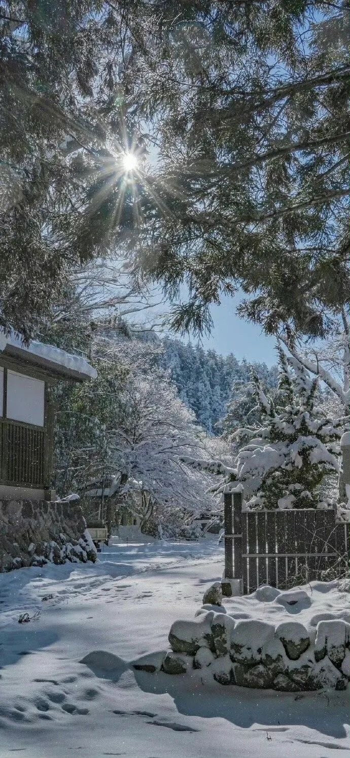 冬天适用的壁纸/风景篇