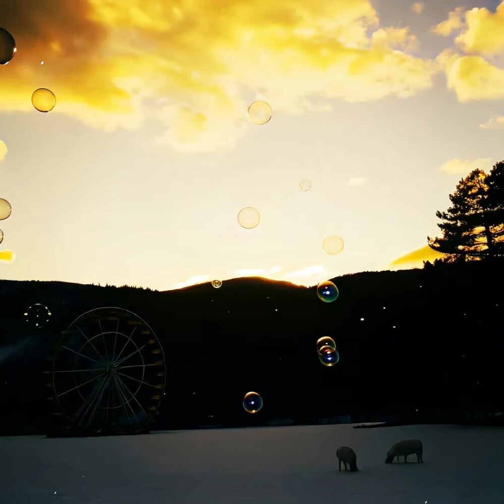 背景