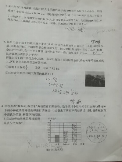 期末综合练习（三） 回顾过程